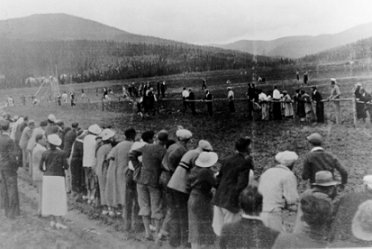 Horse race track on meadows, wpH800