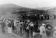 Horse Racing at the Meadow, wp800