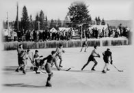 Playing Hockey in Wells, wp898